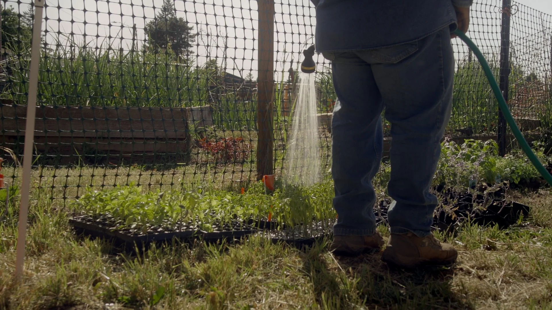 Maxi Hernandez_3.4.1_3.4.2.jpg