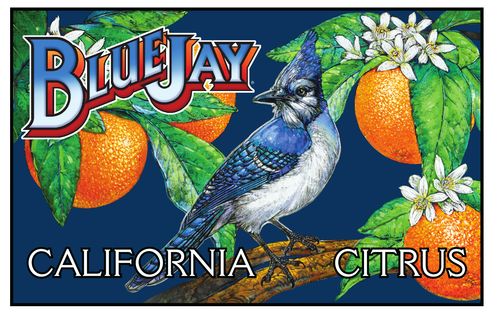 BlueJay banner crp '22 rp.png