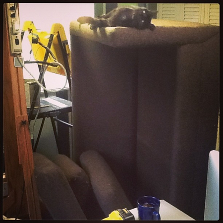 Now it was time to paint! I moved most of the items from the studio, but the easel and sofa had no where to go. Ti and the other cats enjoyed this new perch while it lasted.