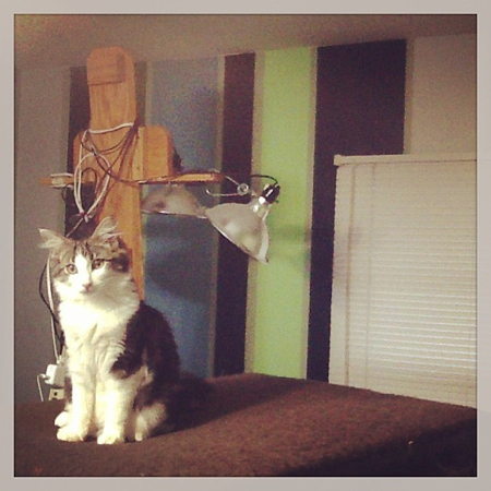 I wanted to keep my striped wall, but I updated it with some new colors and added more stripes where they had stopped around the window.