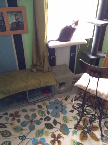 Instead of her food being out in the open, Tinsel has a protected food nook that doubles as seating space. She also has matching window perches and a scratching post. So spoiled!