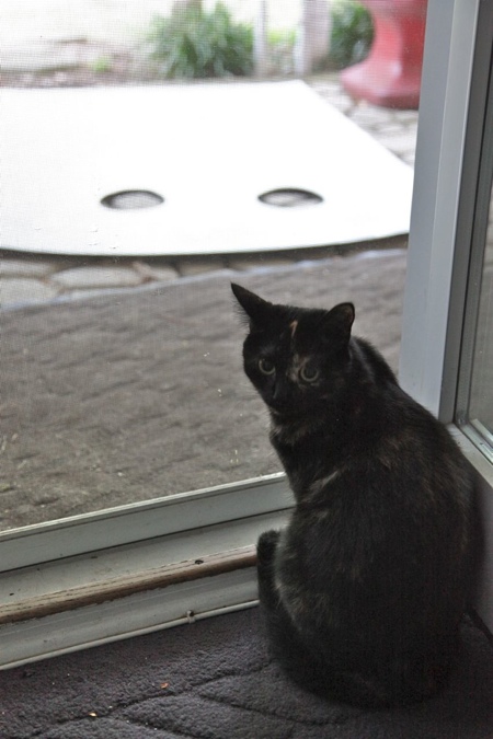 Tobin checking out the primed board.