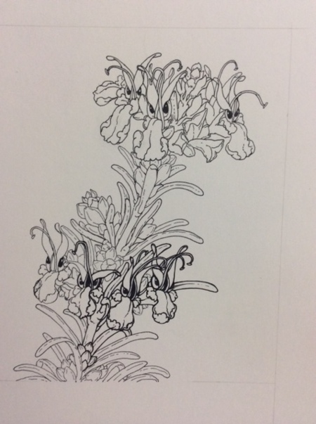 Basic inking complete, going back to enhance the lines and give them more substance.