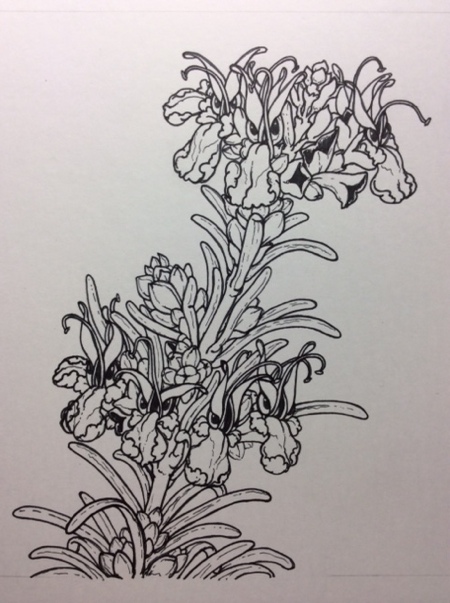 Inking complete.