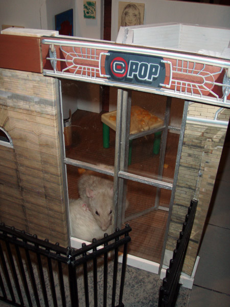 ©POP Gallery already has new occupants.