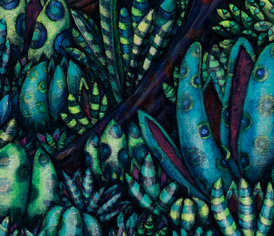 Detail of the succulent plants. 