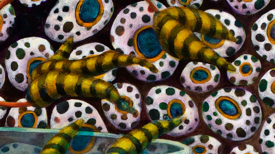 Detail of the sky.