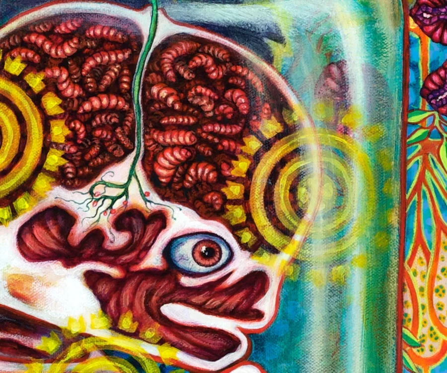 Detail of the face. 