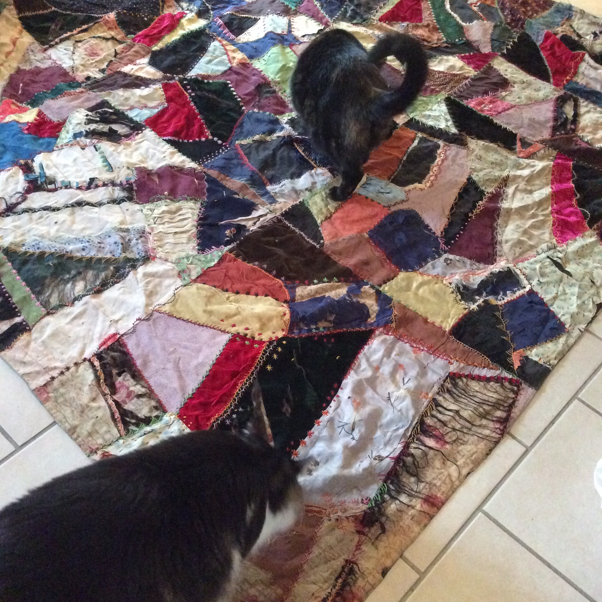 Tobin and Boo inspect. 