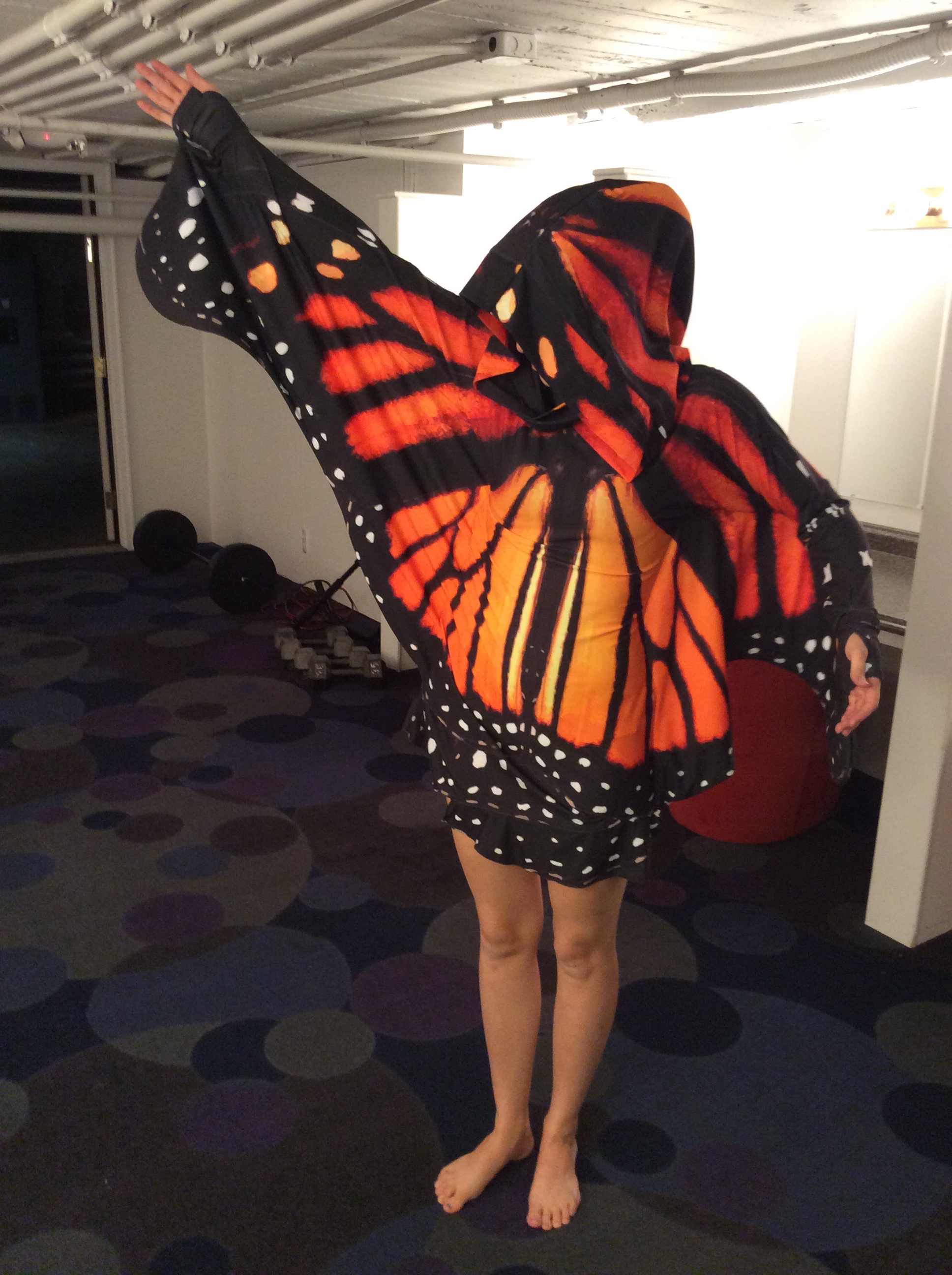 Photo from shoot with Gwendolyn Vo in the butterfly dress by Tracy McElfesh . Read her blog POST about how she created it!