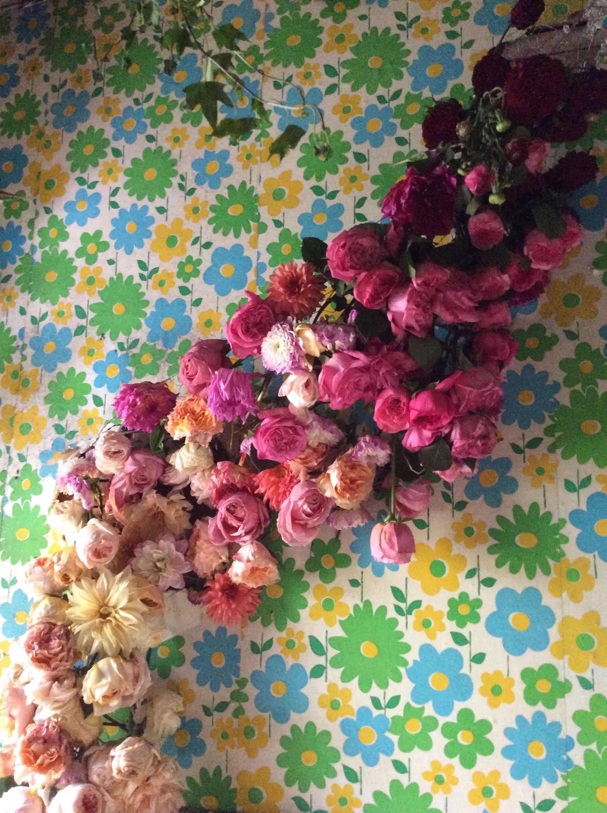 The color! 