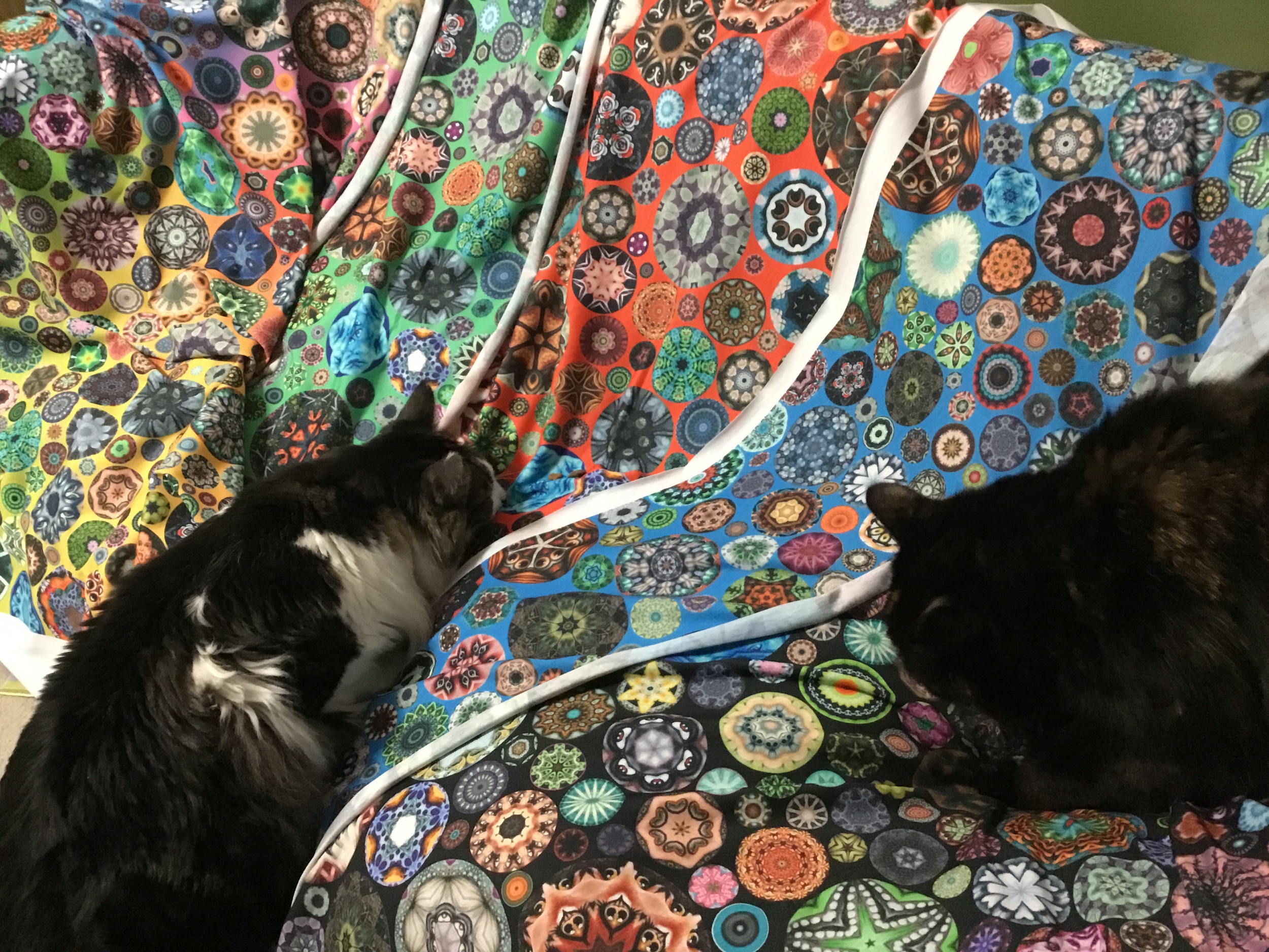 Boo and Tobin investigate the new designs. 