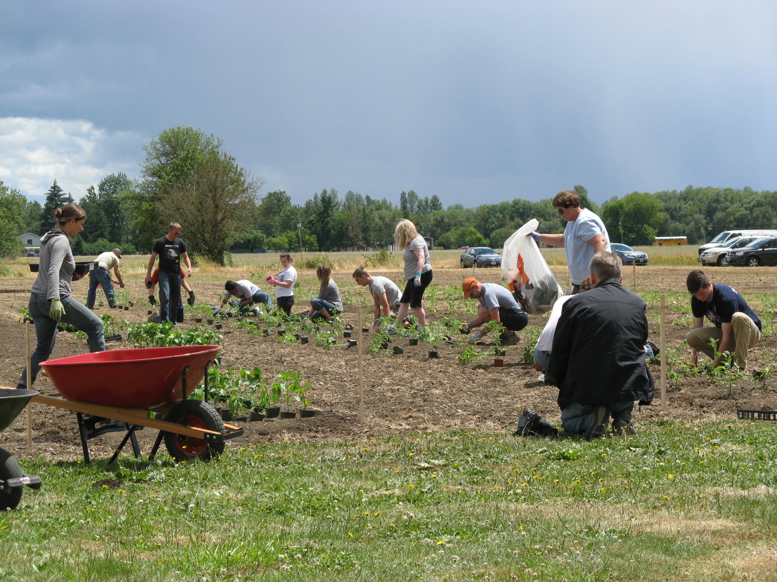 Volunteers at Work at AHH Farm which is run with the cooperation of Linn-Benton Food Share
