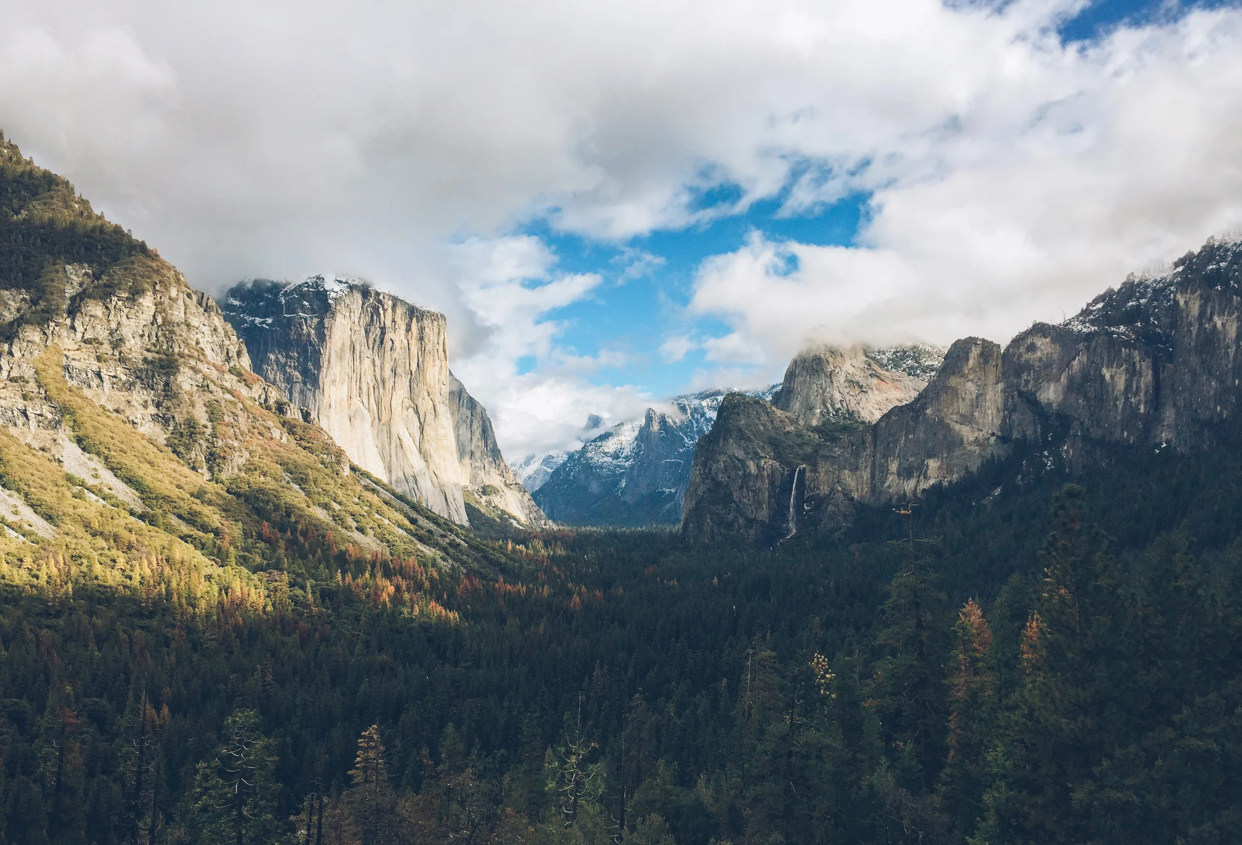 IMG_1537-Edit.jpg