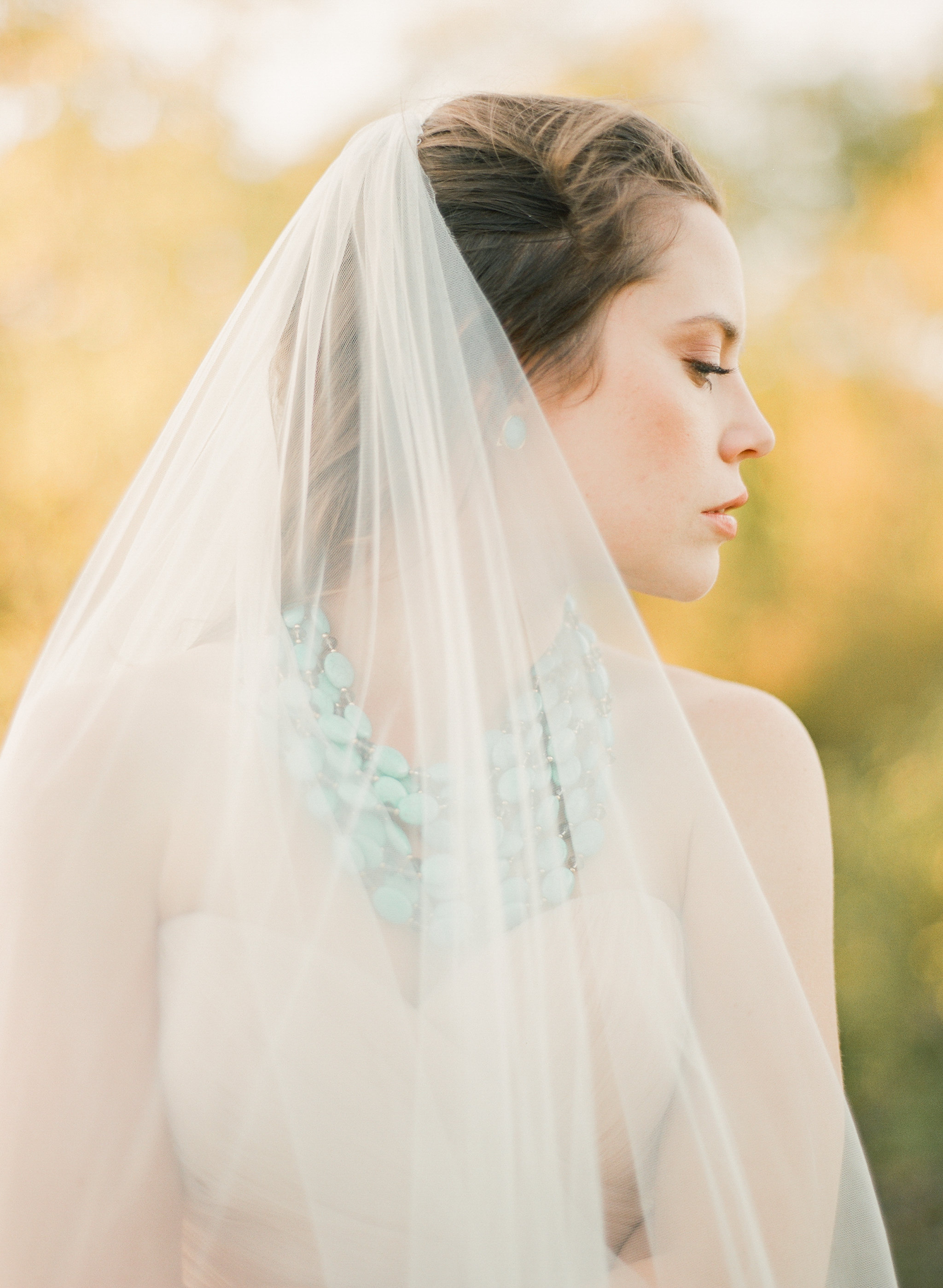ALY CARROLL PHOTOGRAPHY