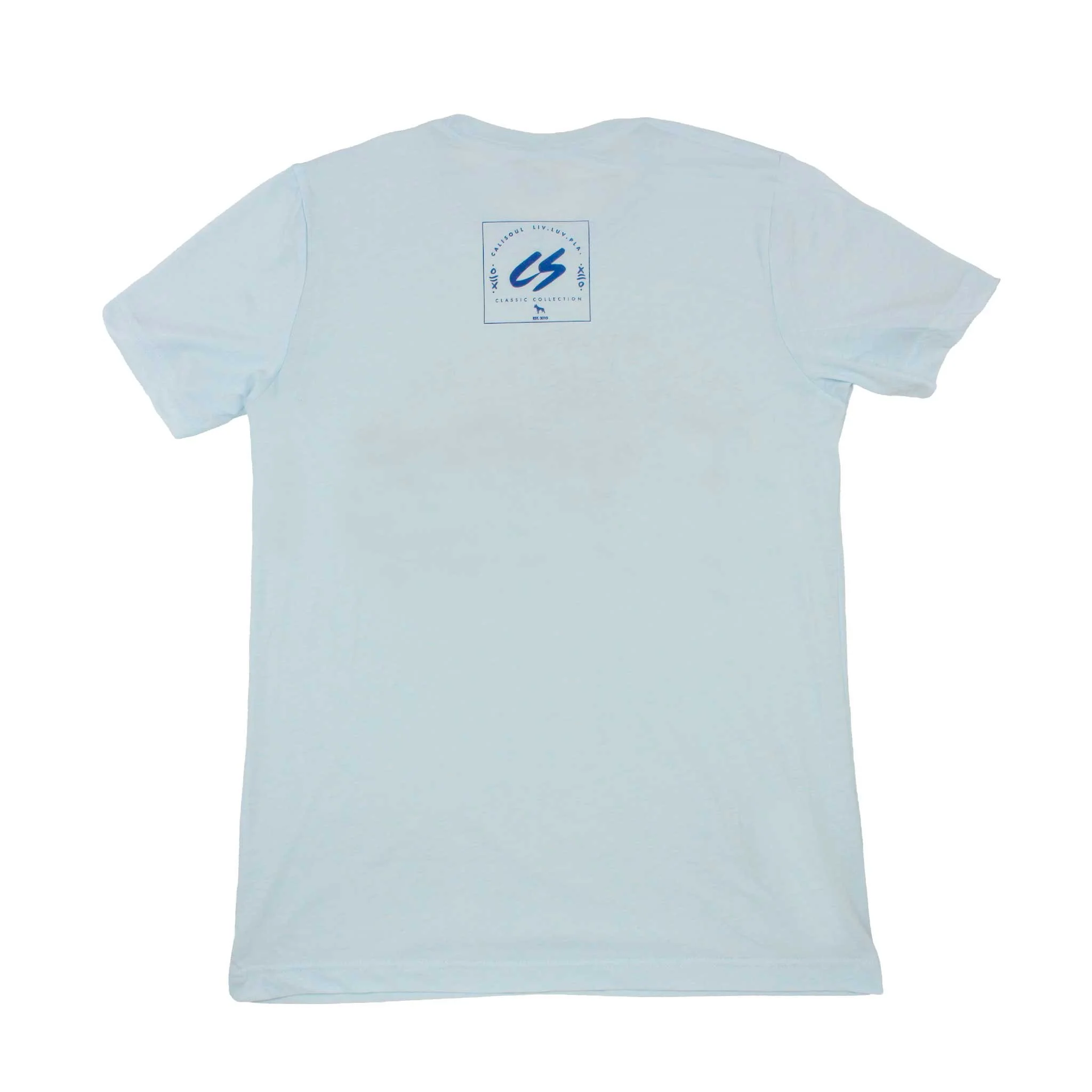 CS-4x4-lightblue-BACK-26.jpg