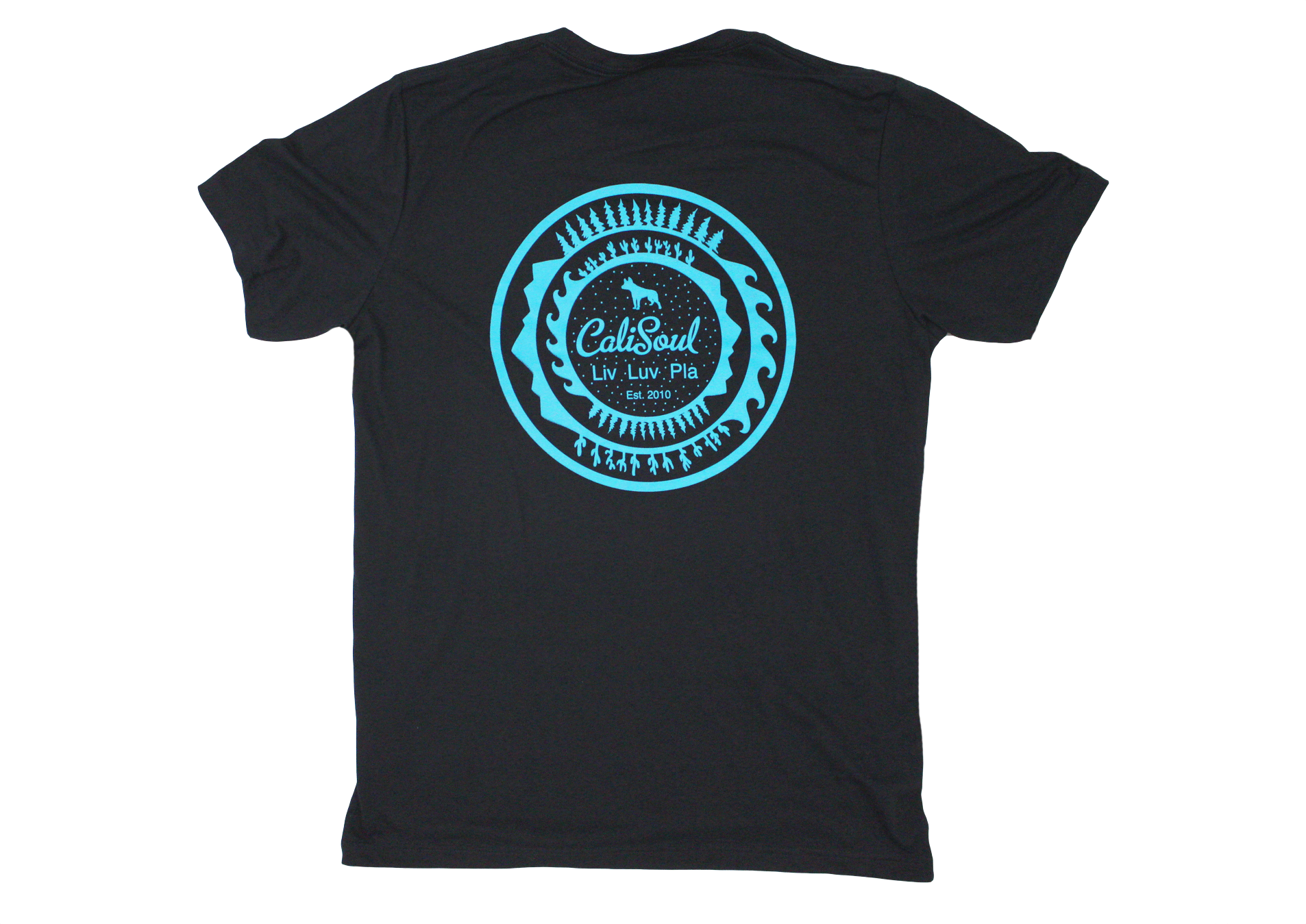 CS-Elements-tee-TEAL-&-BLACK-BACK-2025.gif