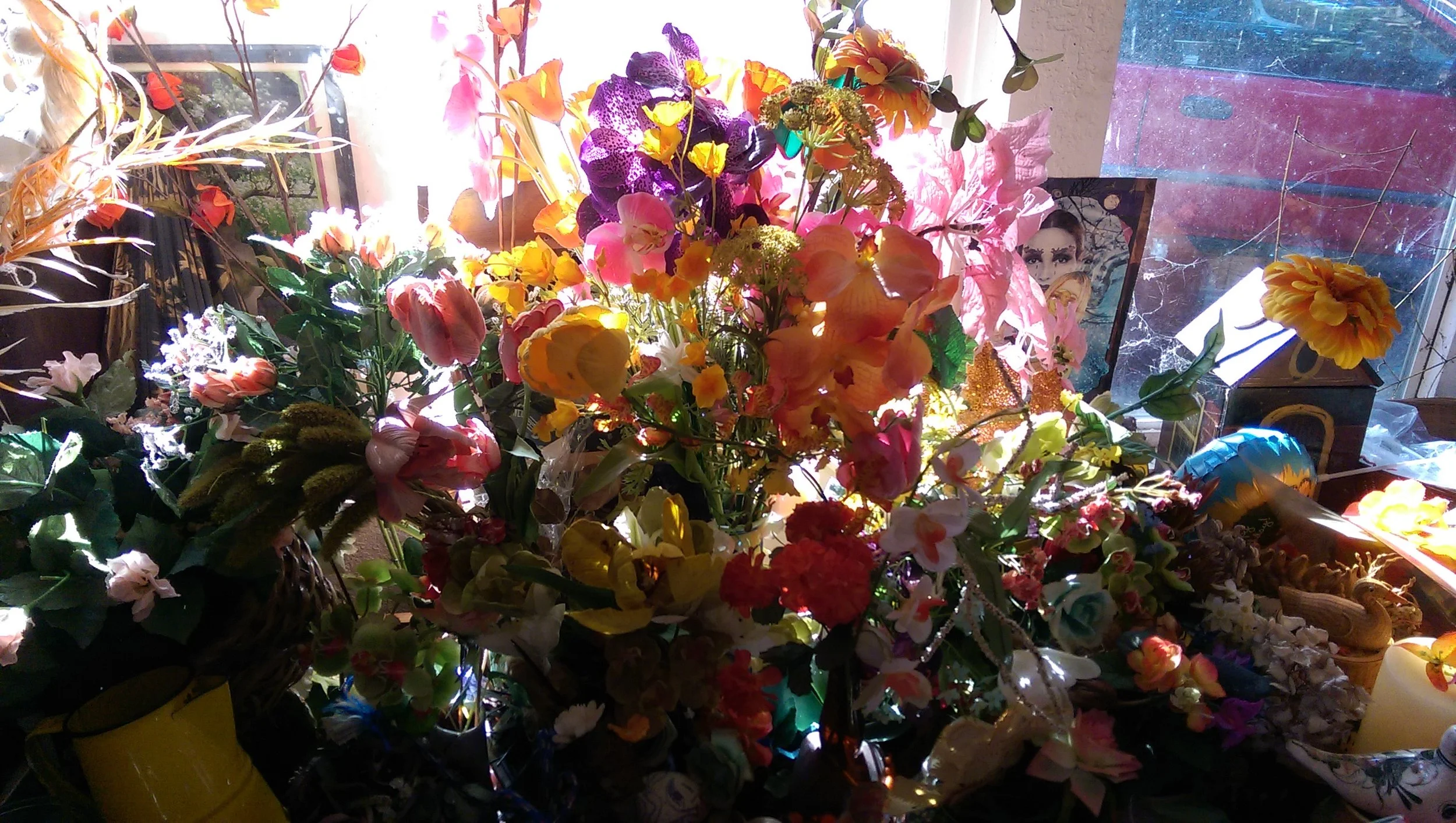 IMAG0429.jpg