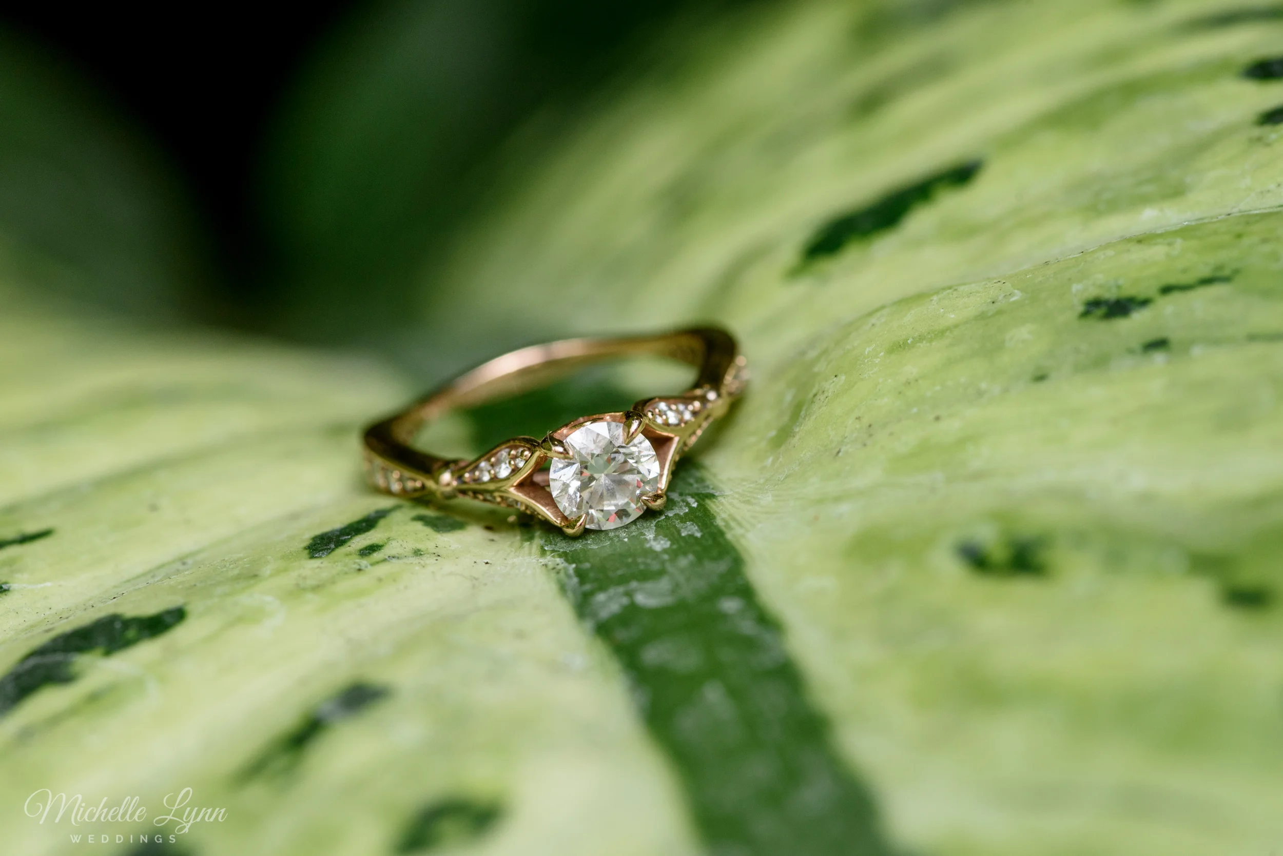 Longwood-Gardens-Engagement-Session-25.jpg