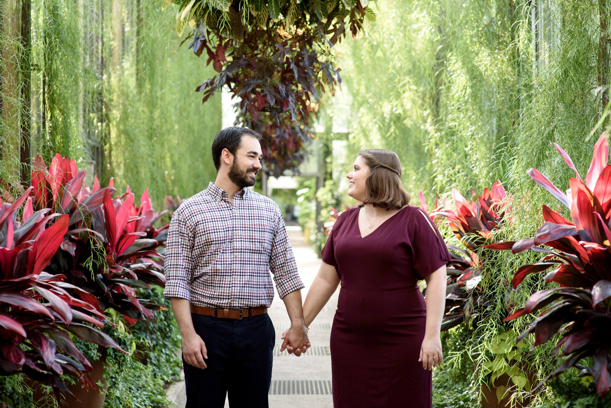 Engagement photos in the beautiful acacia passage at Longwood Gardens 