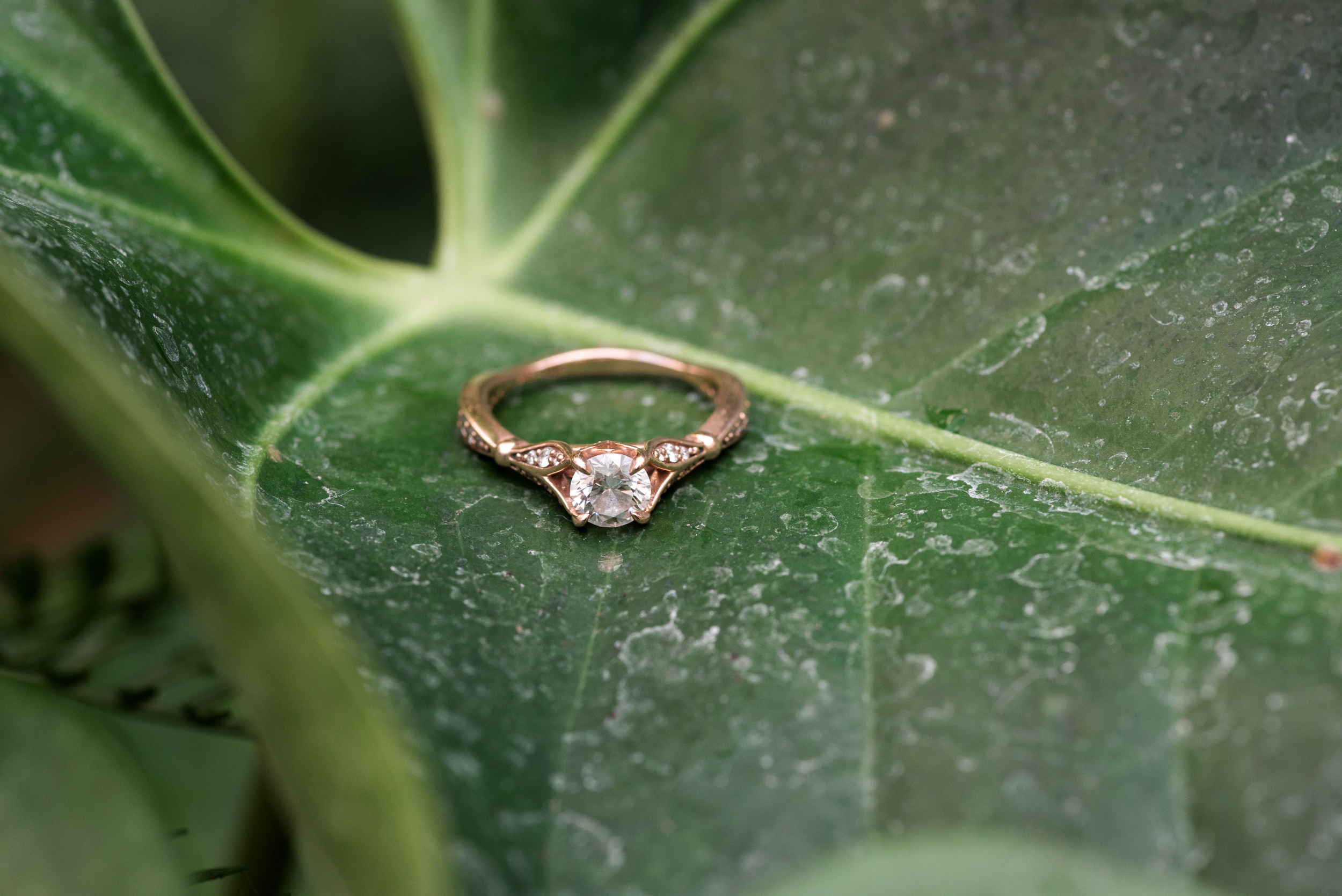 Engagement ring on leaf