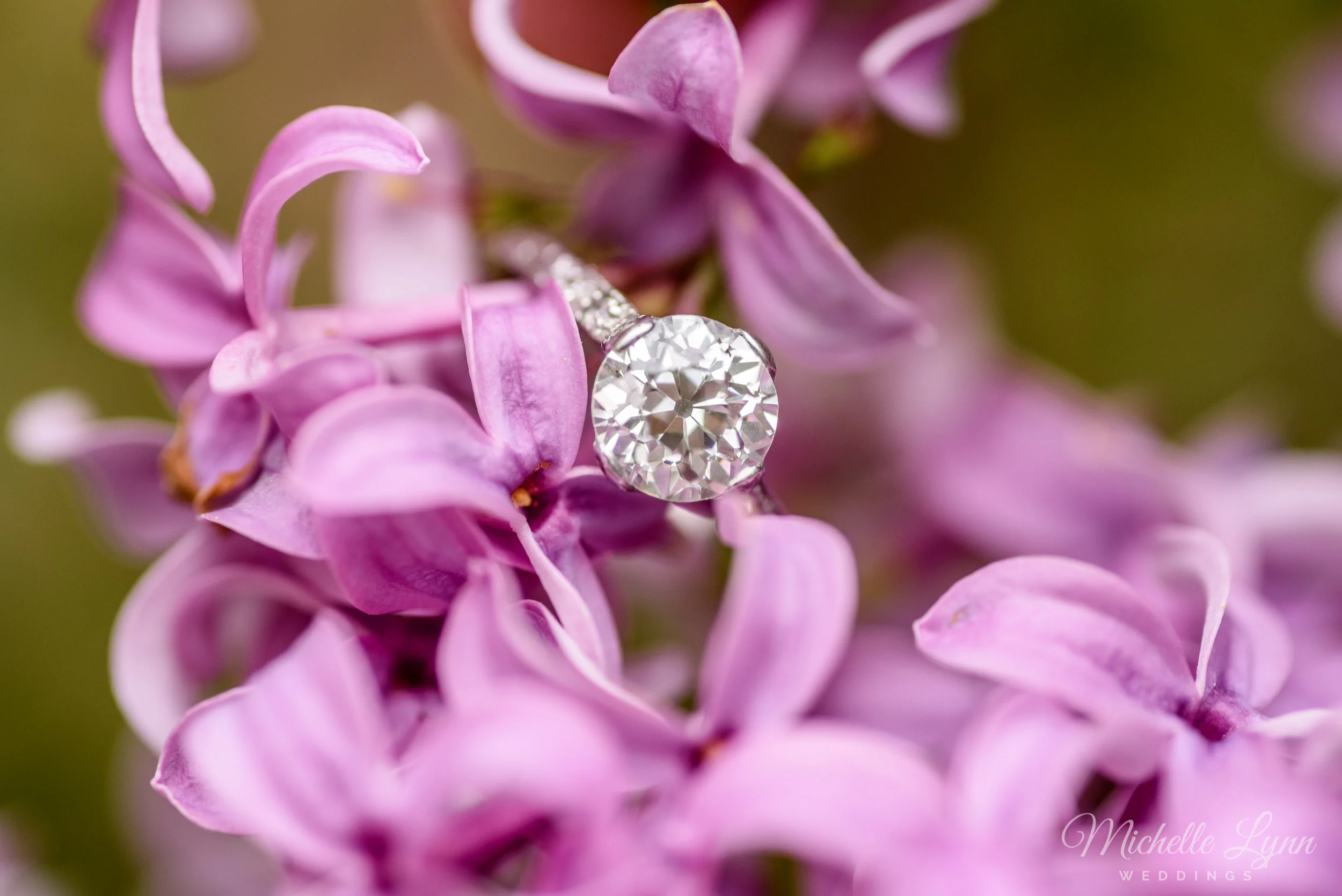 mlw-washingtons-crossing-pennsylvania-engagement-photos-9.jpg