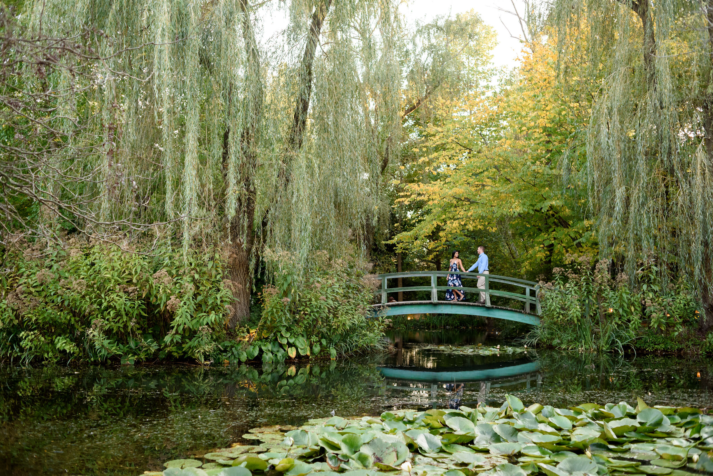 Engaged couple walks across Grounds for Sculpture's re-creation of the bridge from Monet's 'Bridge Over A Pond of Water Lillies"