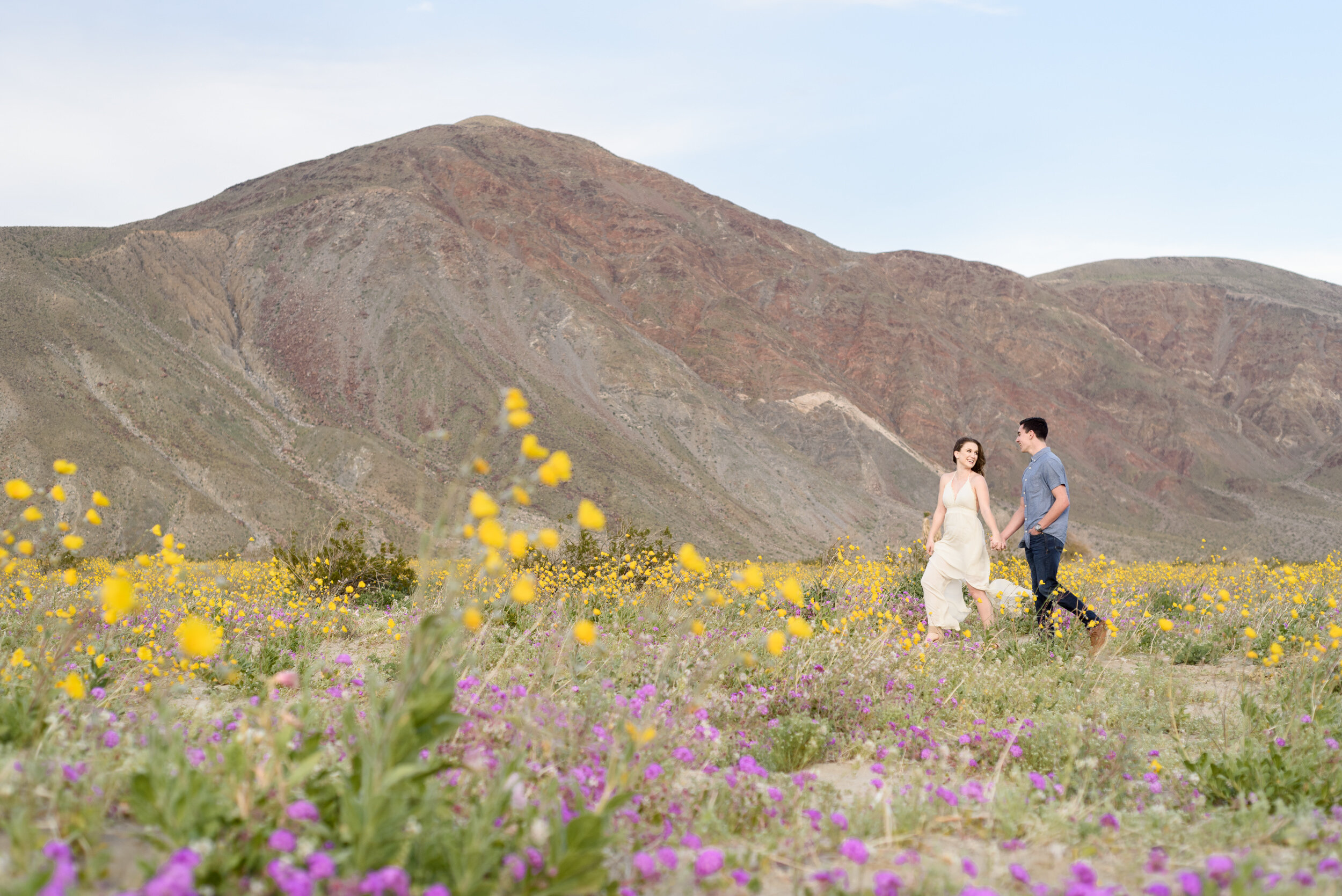 Engagement session at Anza-Borrego Desert State Park during superbloom