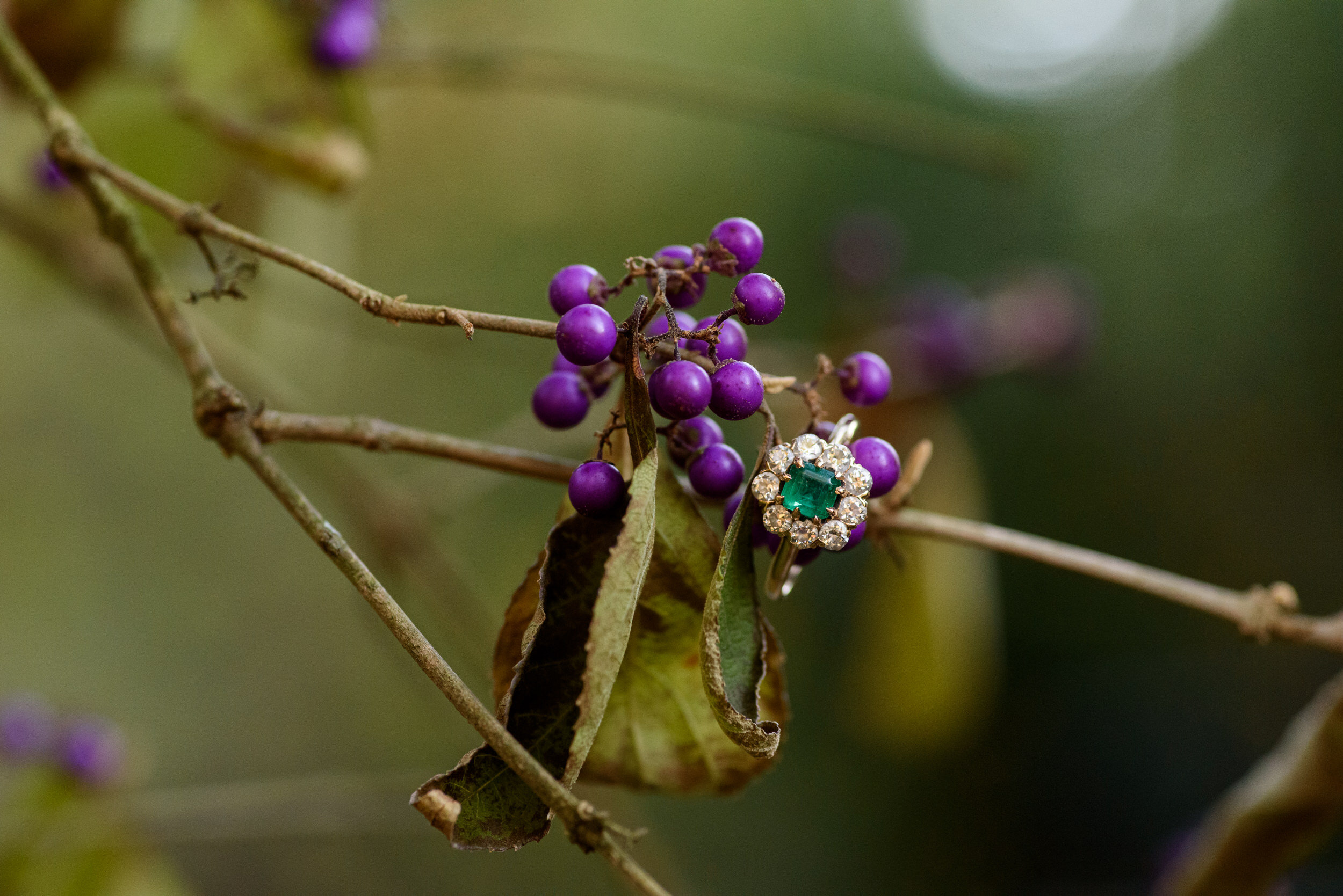 Longwood Gardens engagement photos