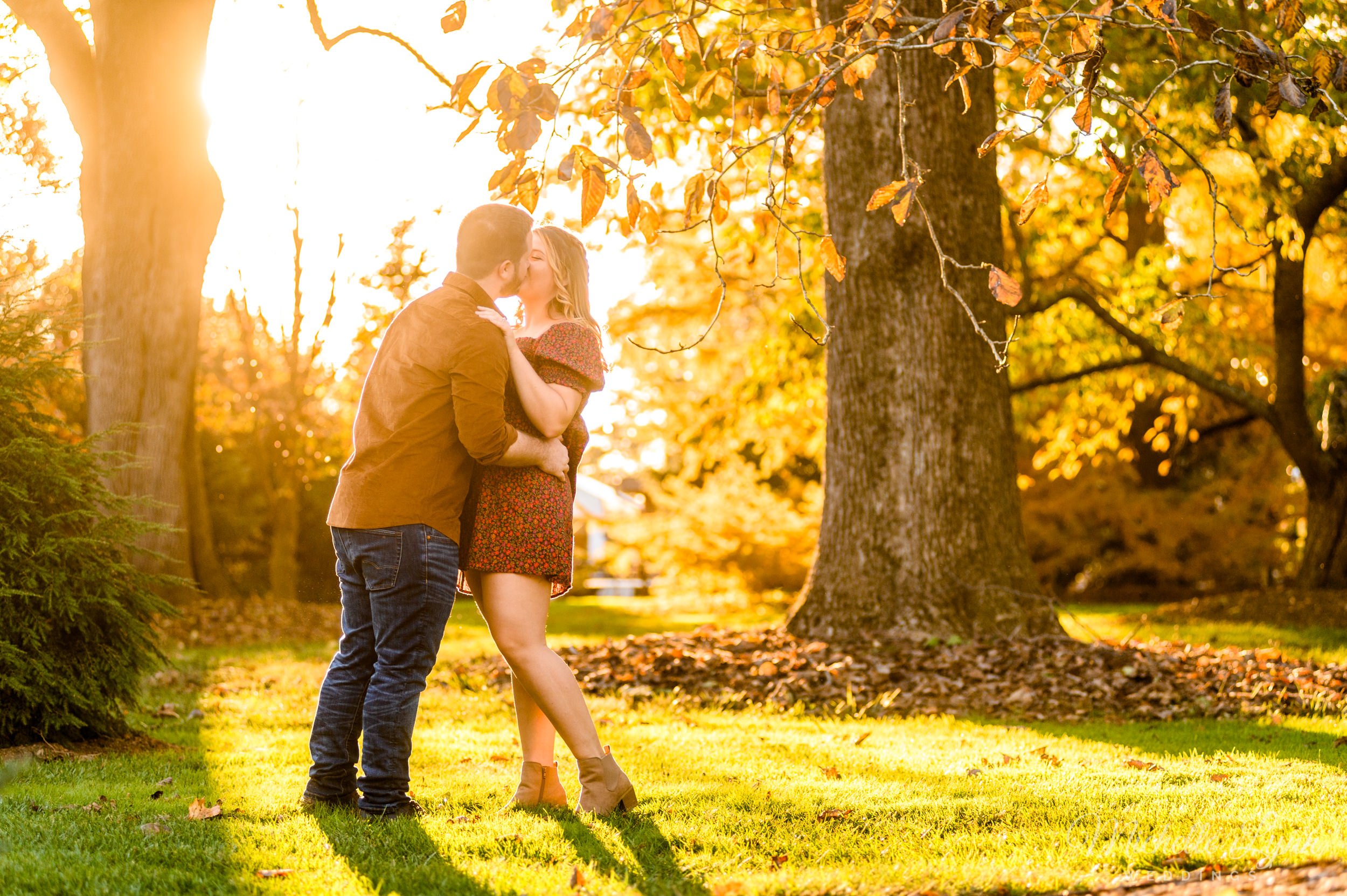 mlw-longwood-gardens-engagement-photos-20.jpg