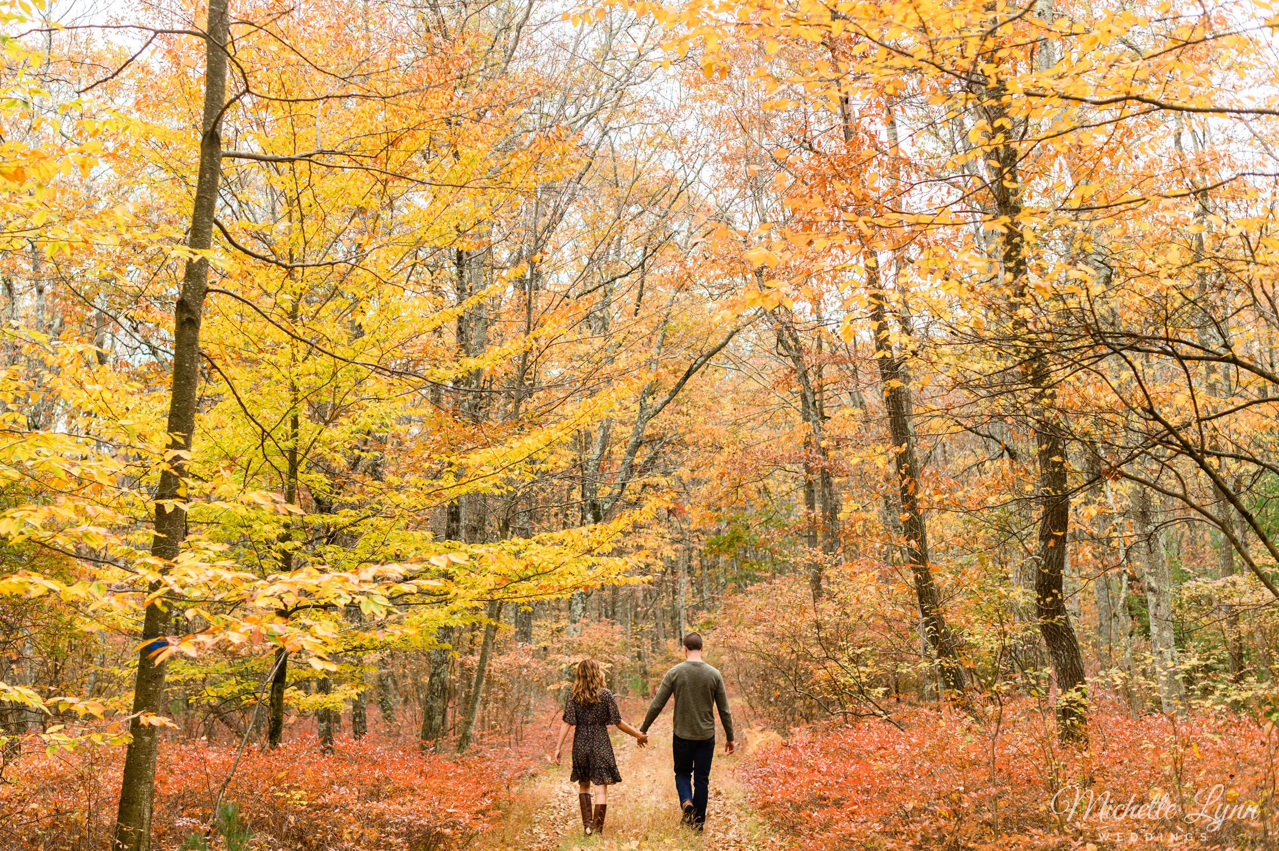 skytop-lodge-engagement-photos-24.jpg