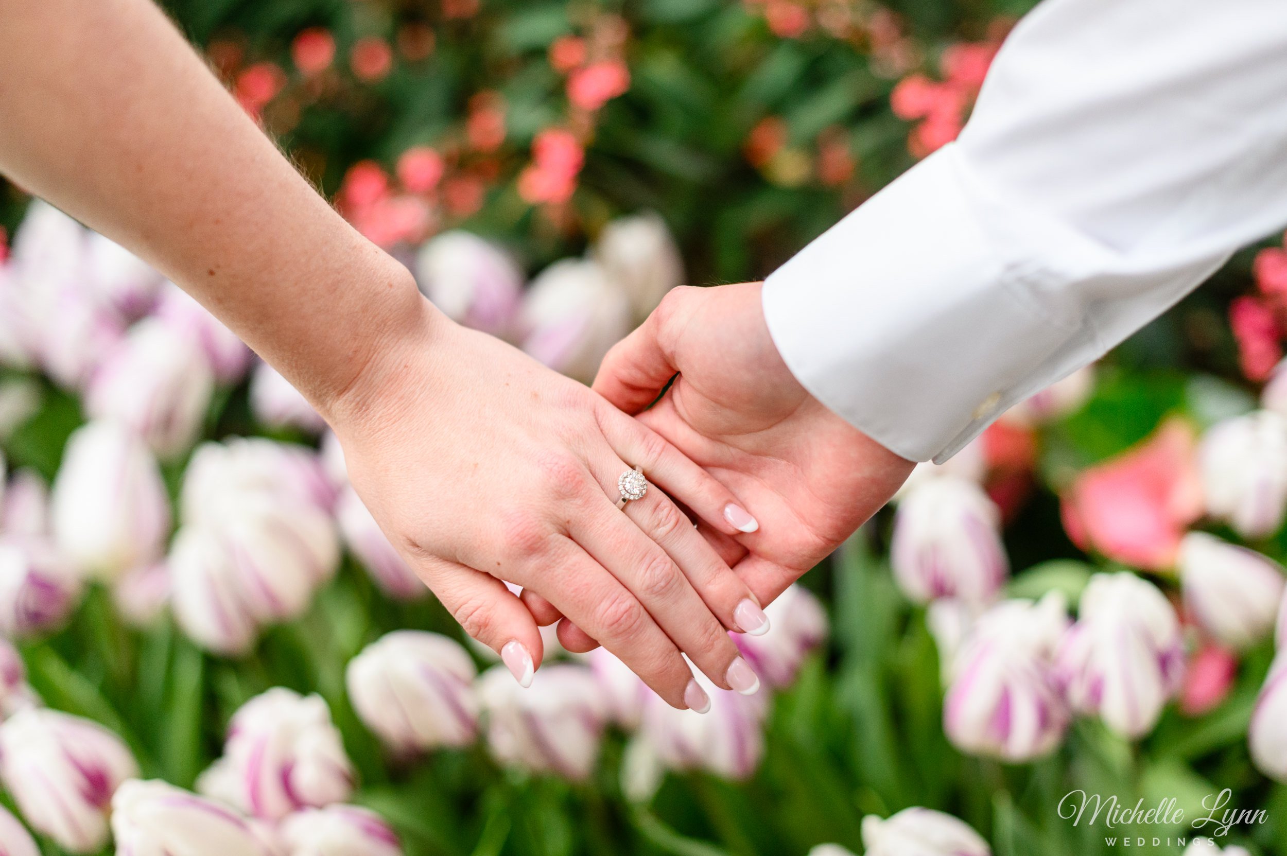 longwood-gardens-engagement-photographer-10.jpg