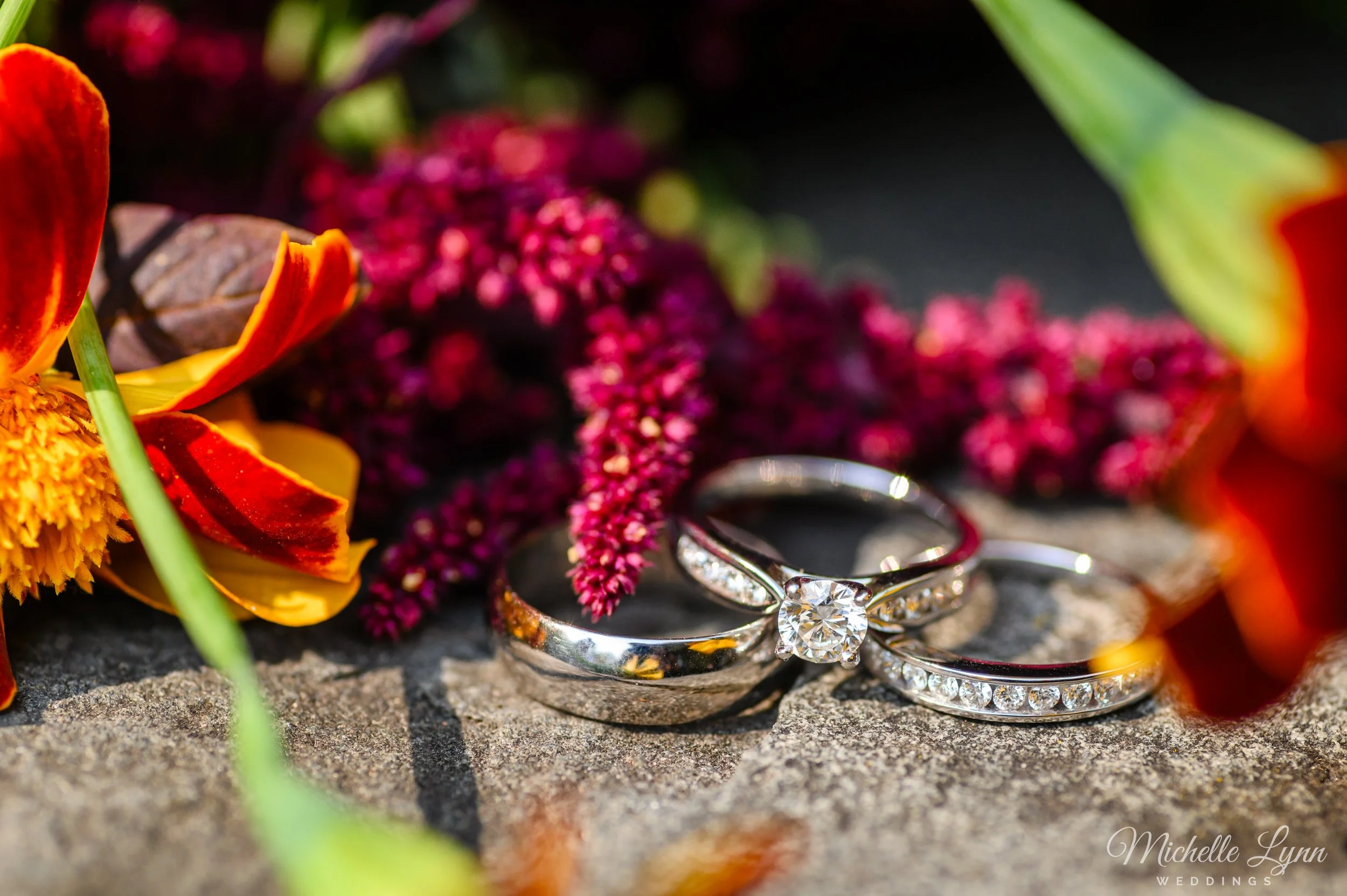 scott-arboretum-swarthmore-college-wedding-photos-2.jpg