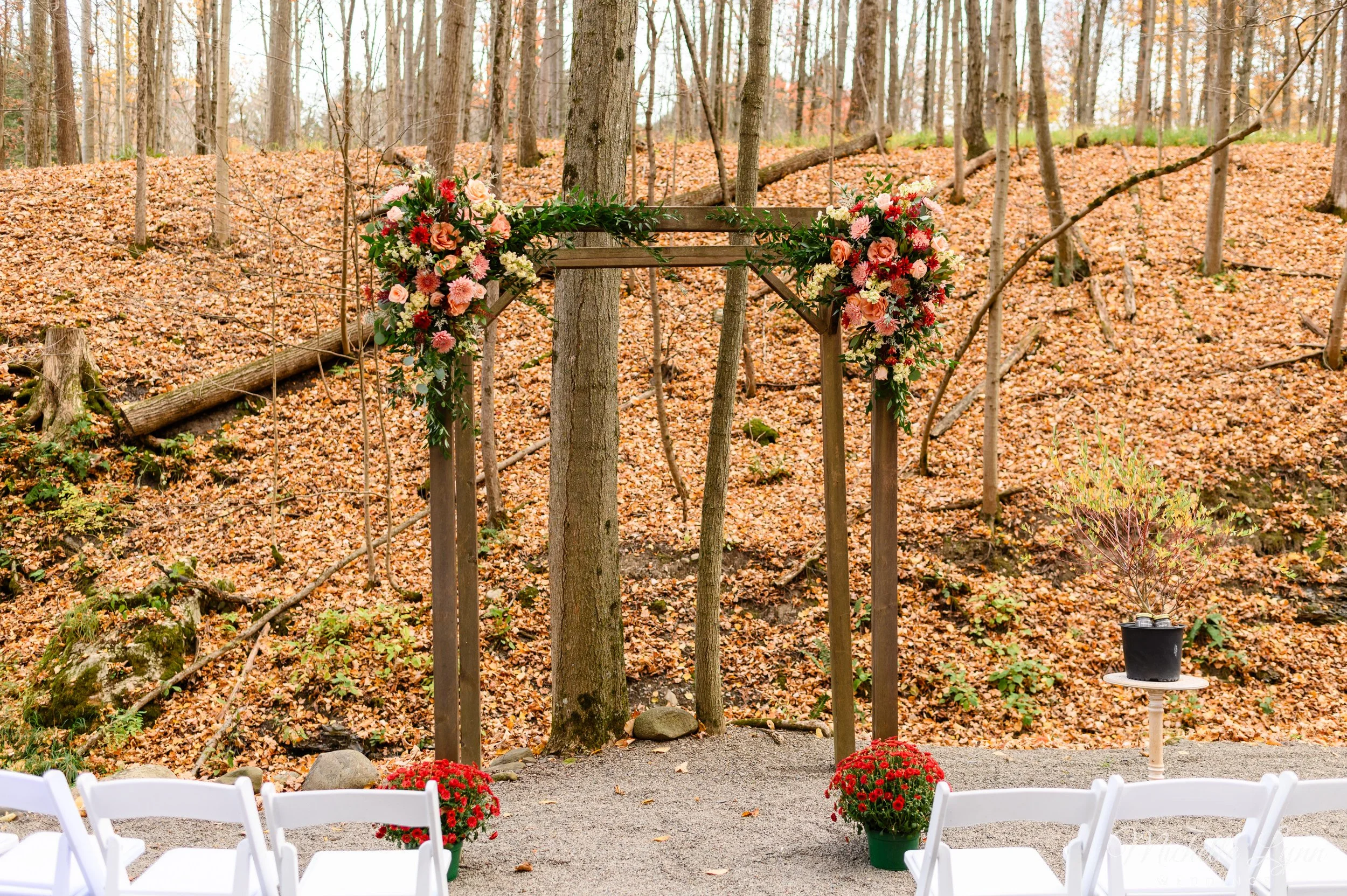 new-park-ithaca-wedding-photos-43.jpg