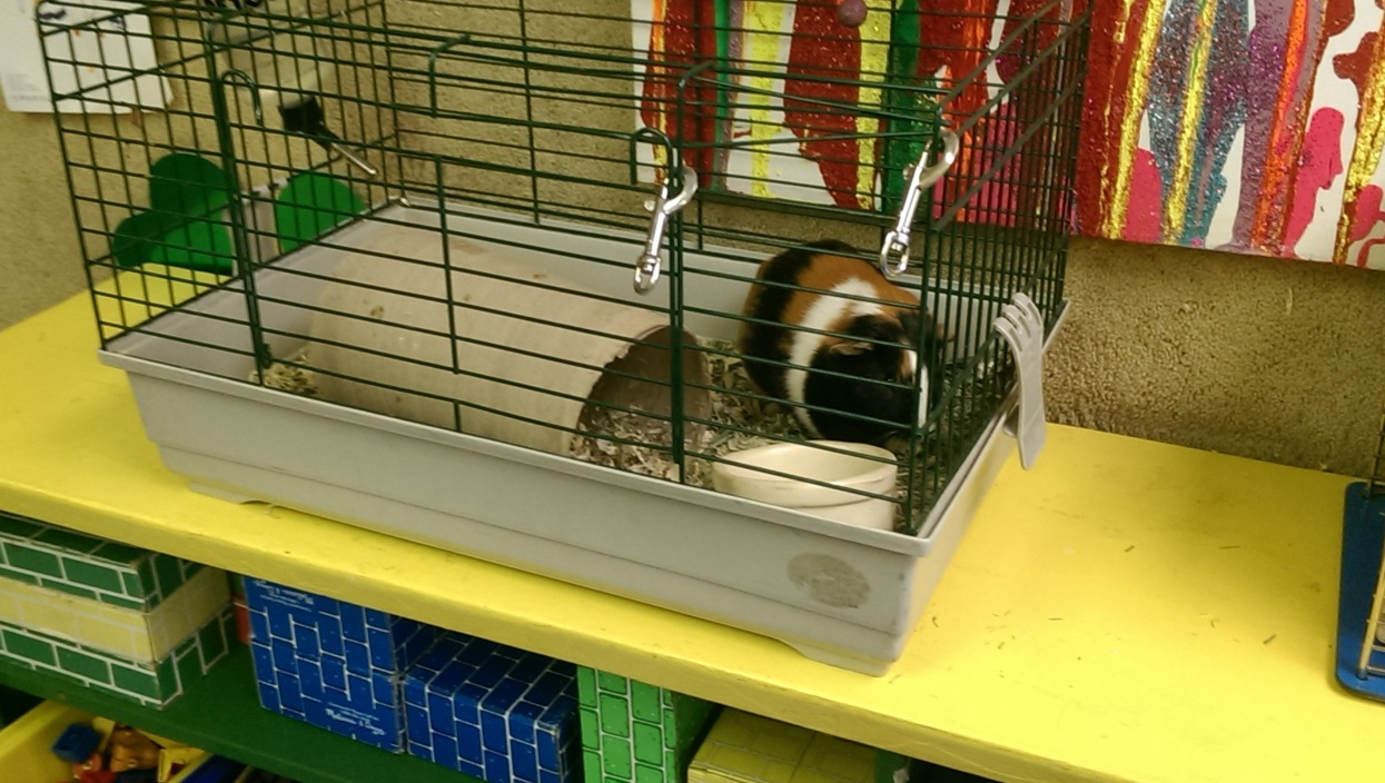 Pepito!