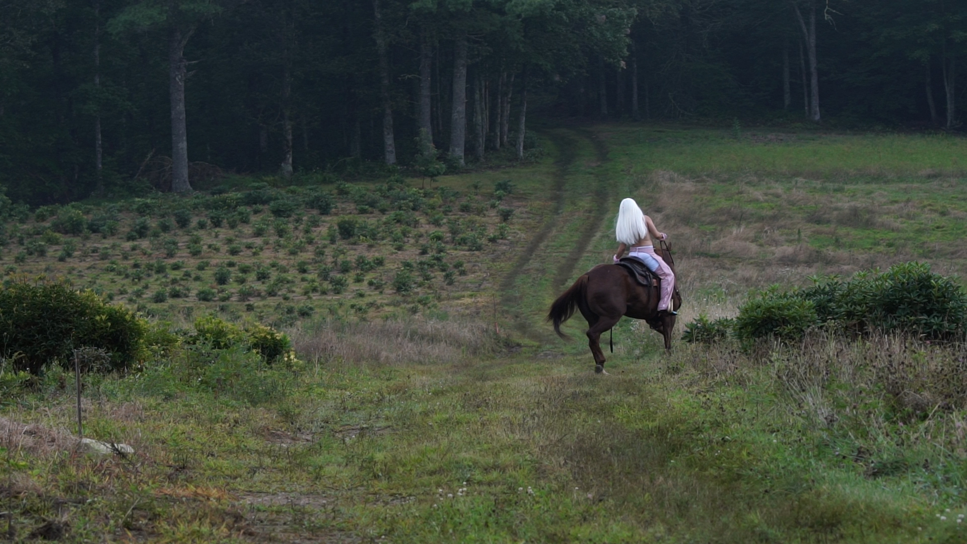 Image: Alex Schmidt, Power Bottom, 2018, Video, 12 min. Courtesy the artist, with special thanks to Sarah Salovaara, Gordon Bell, Jolie Signorile, and Lily the Horse Tamer.
