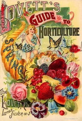 What's in a name? The story behind The New Garden Society's name