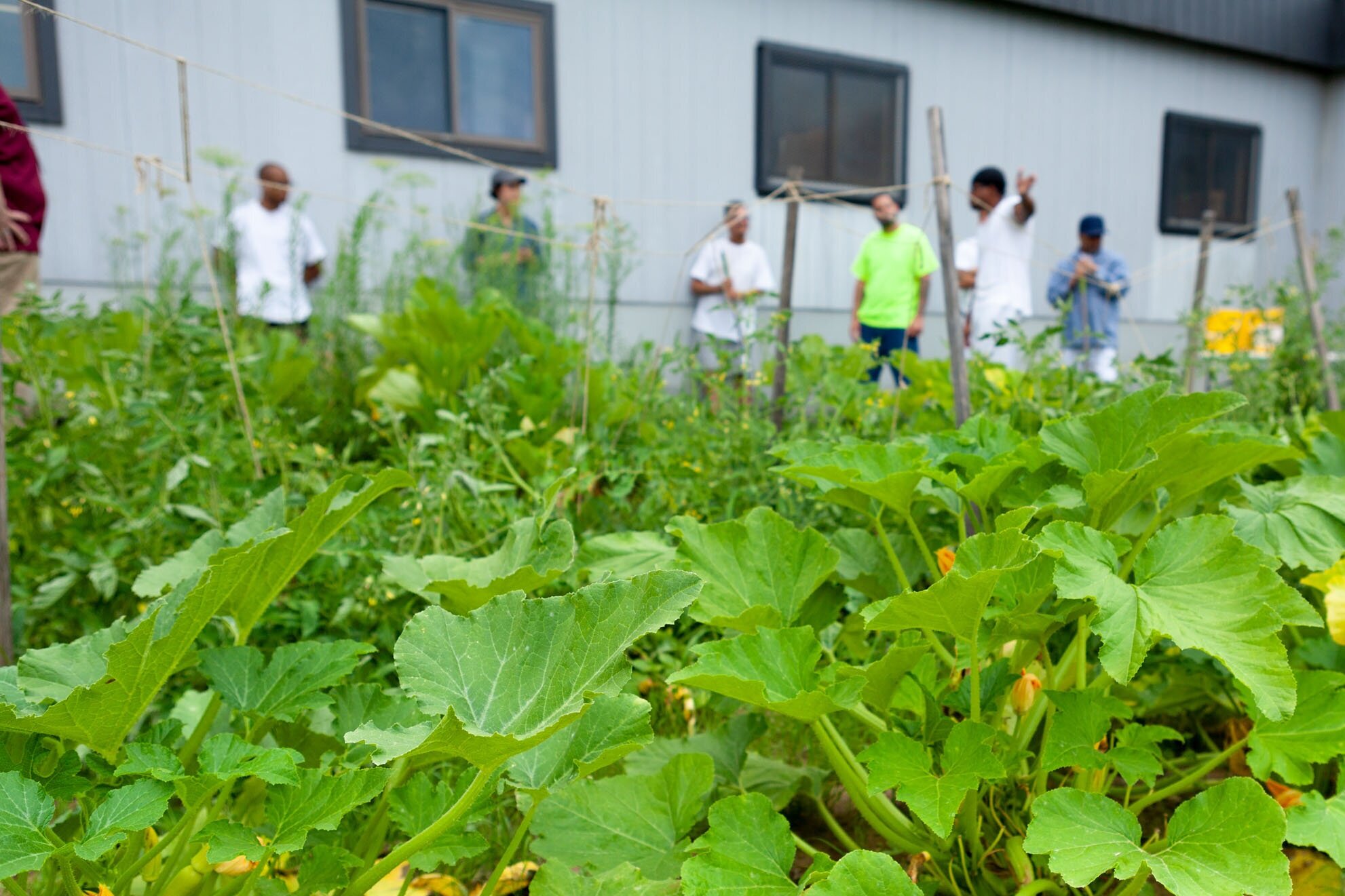 The New Garden Society