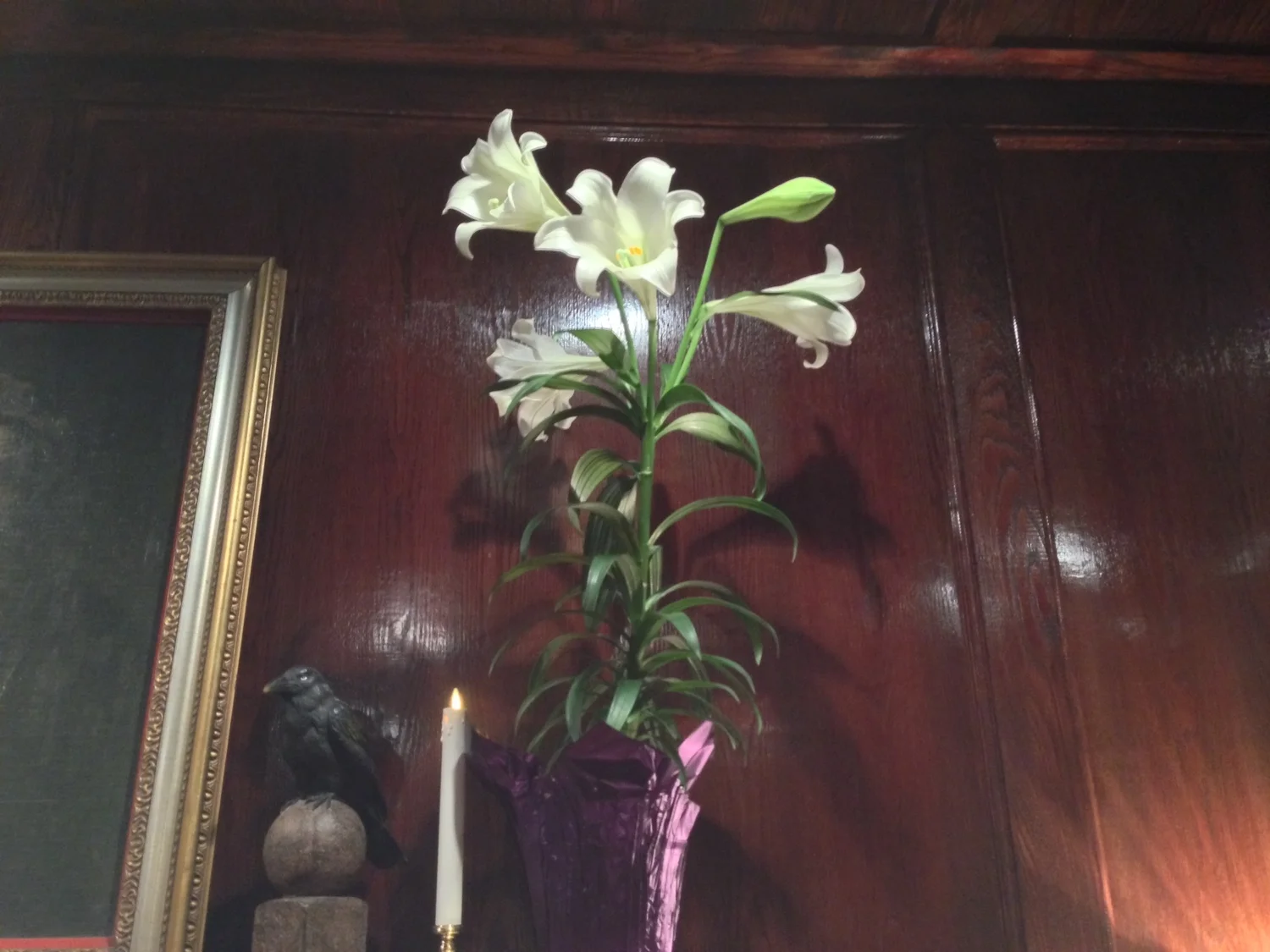 iphone120414 298.JPG