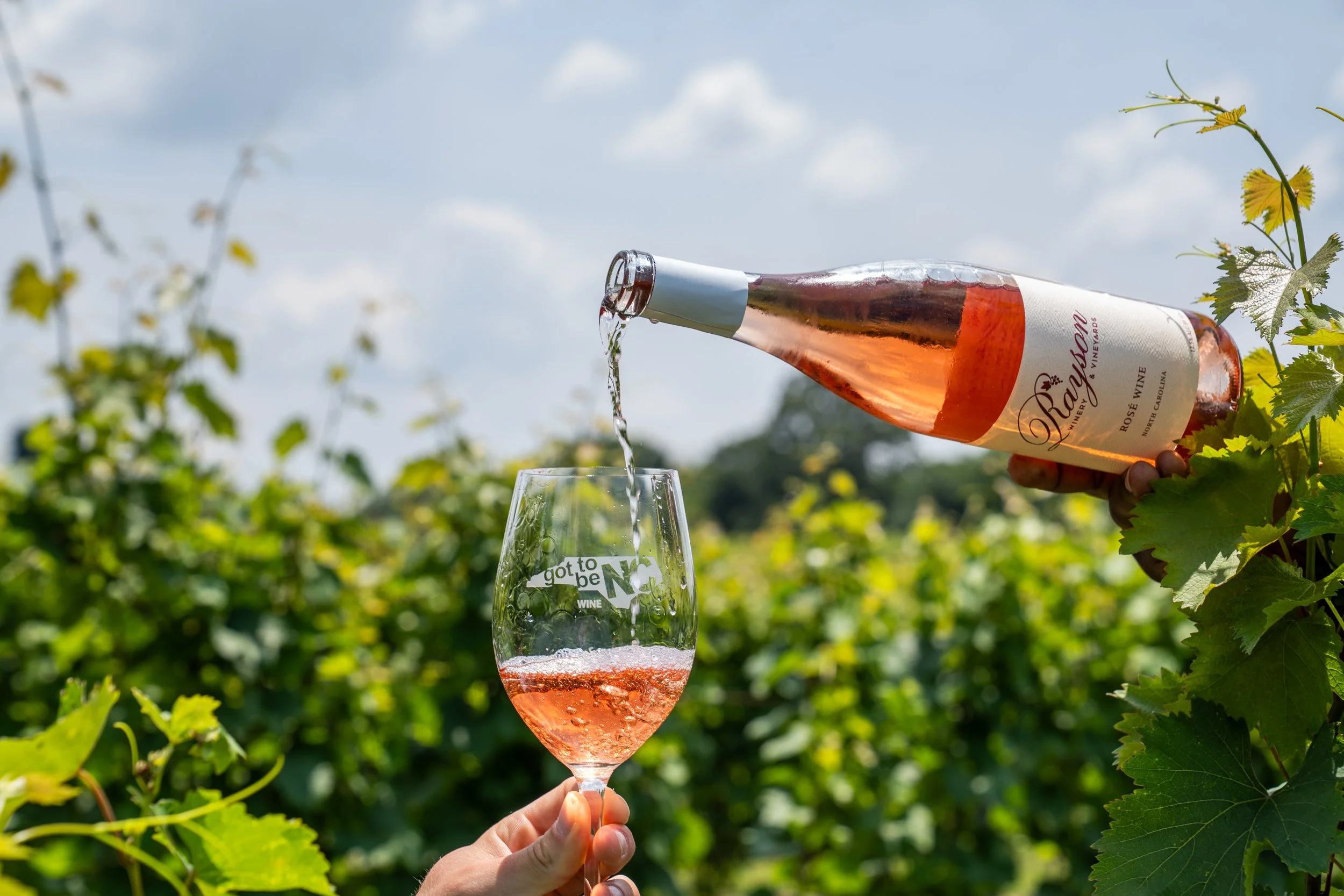 RAYSON VINEYARDS-316.jpg