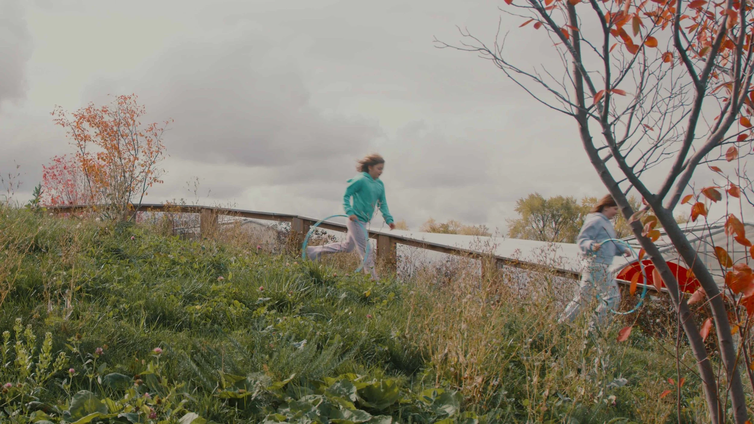 Clearwater Farm shoot