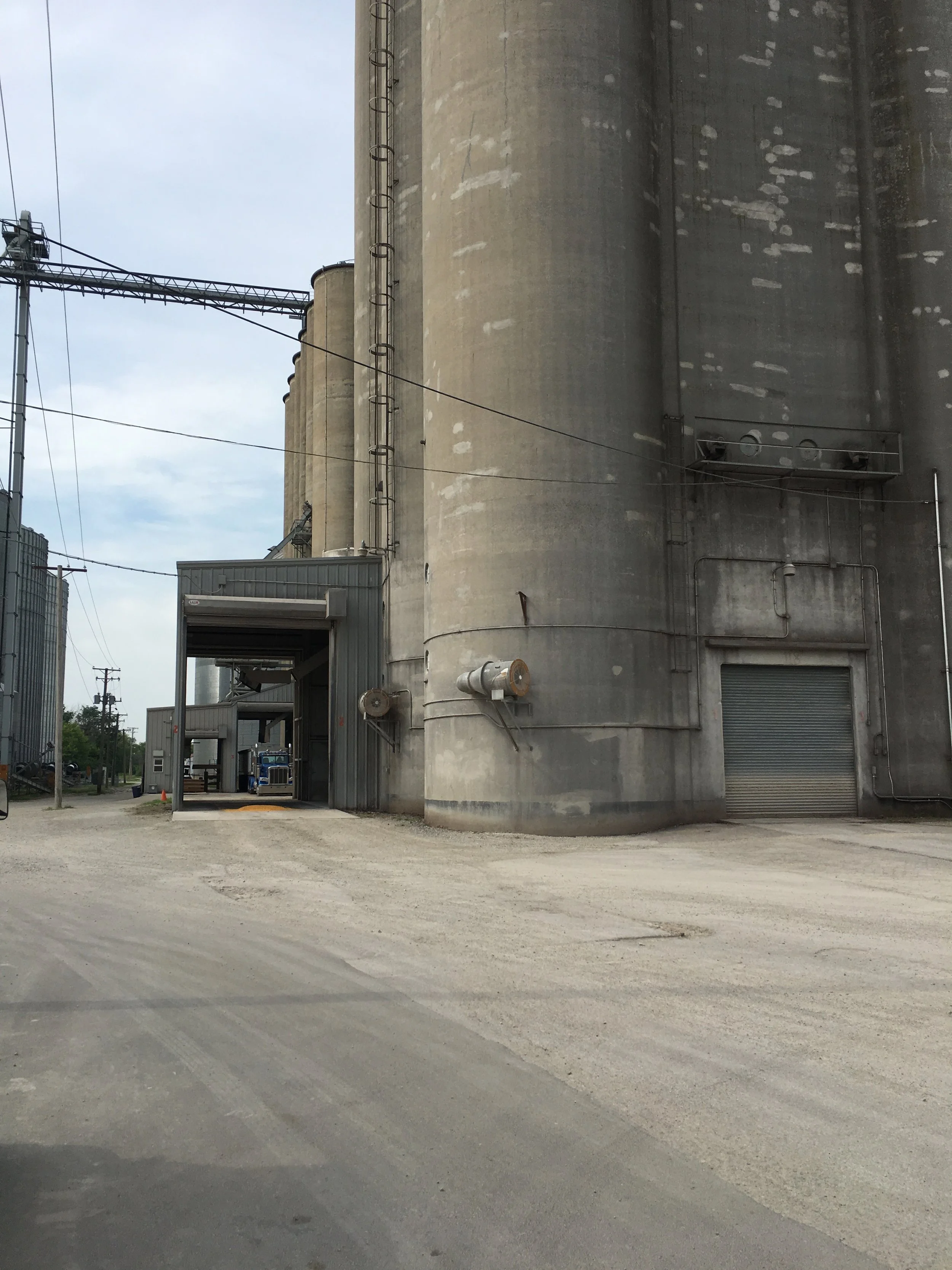 Grant Park Co-Op, 2018
