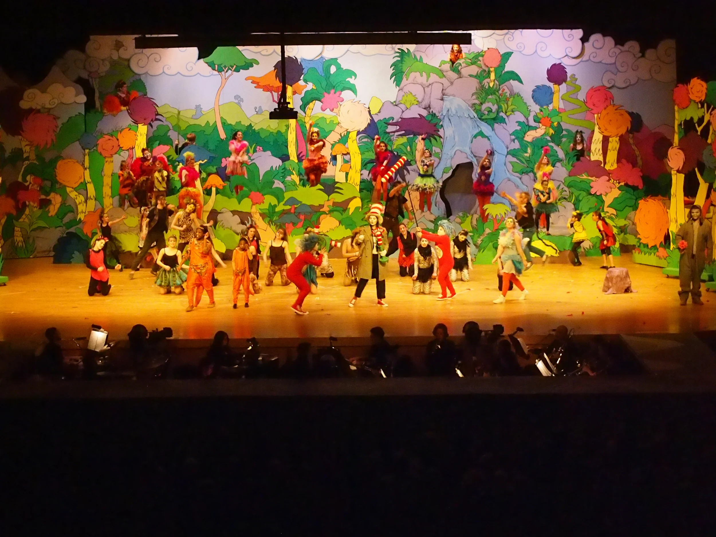 4c Jungle interview.JPG