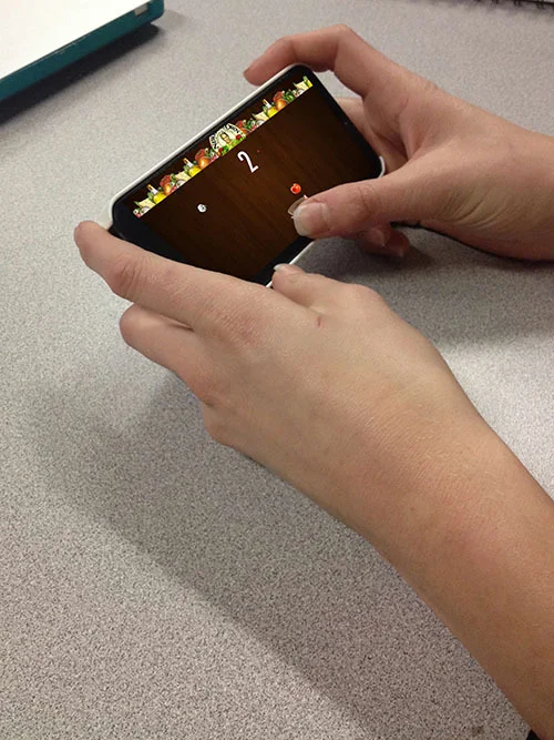  Swipe your finger left or right to have the basket catch all the fruit! Catch a piece of trash to lose the game!  For every point you obtain, Newman's Own will donate 5 cents to Feeding America! 