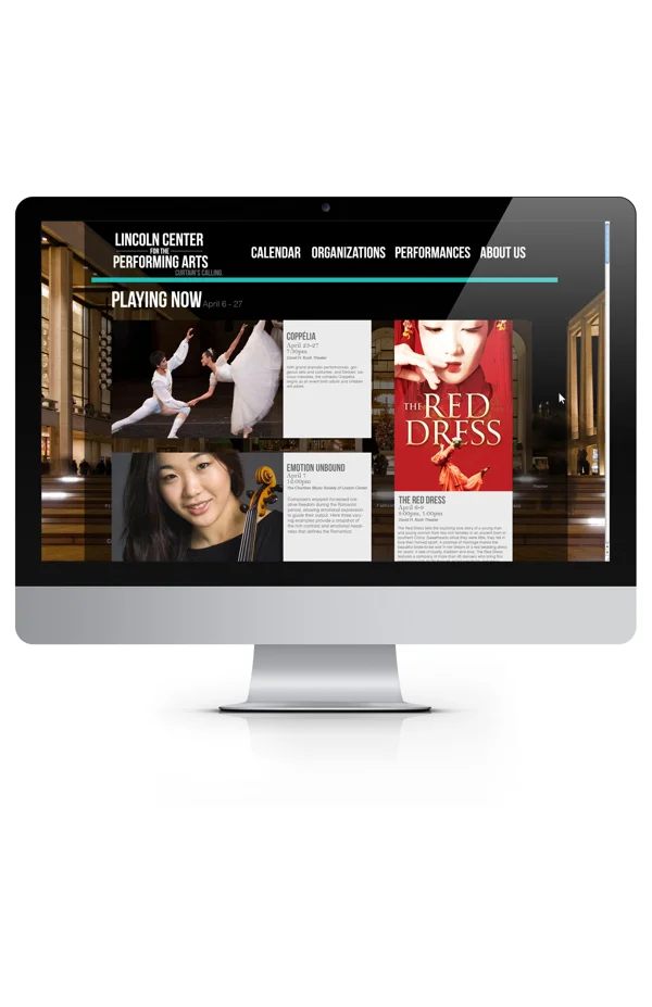 Computer View of Website