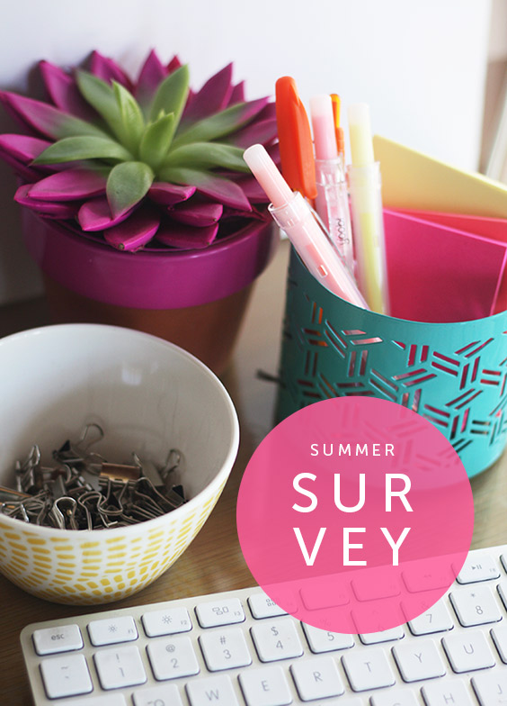 summer survey