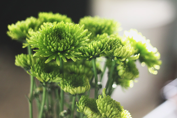 Being Thankful Makes You More Productive