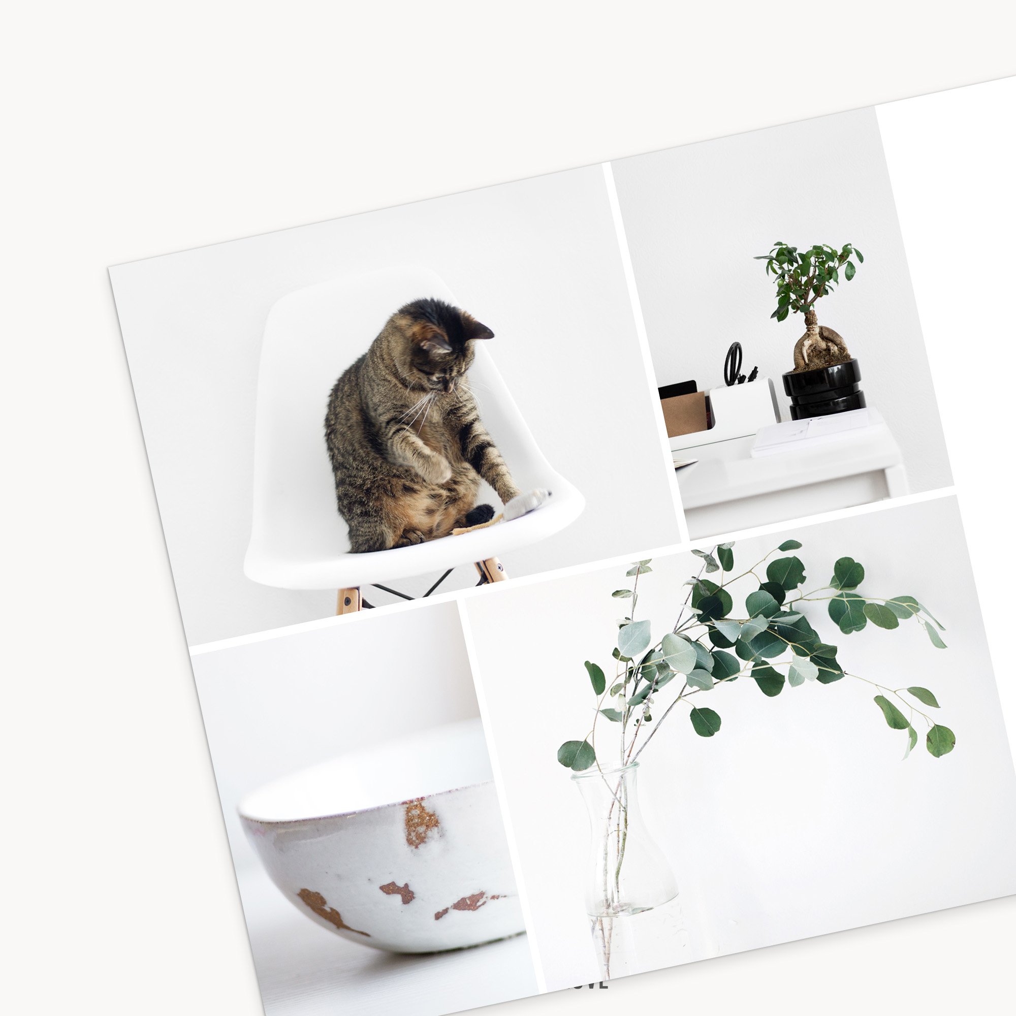 Image-trifold5.jpg