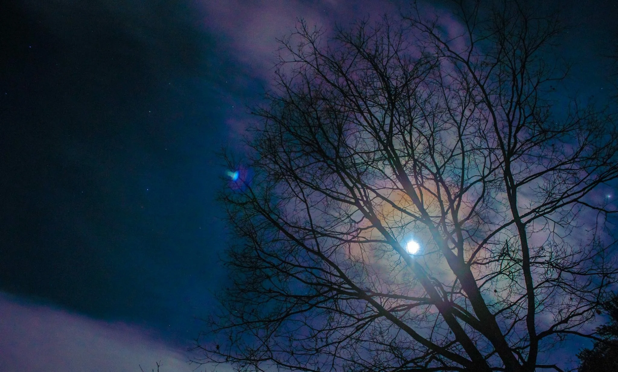 Understanding death and living a little