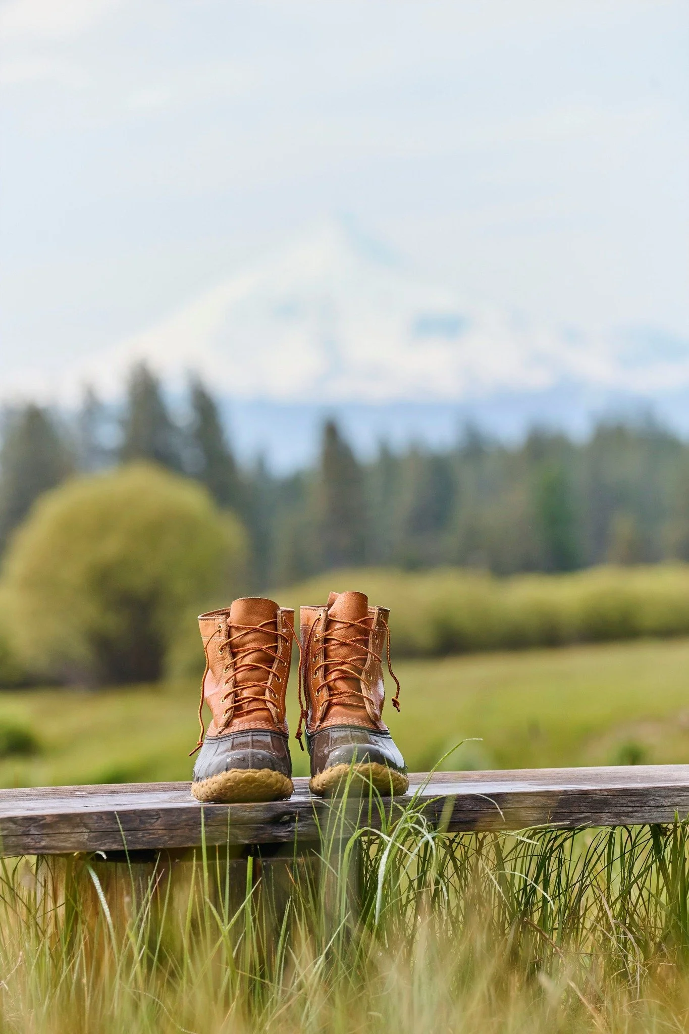 L.L.Bean